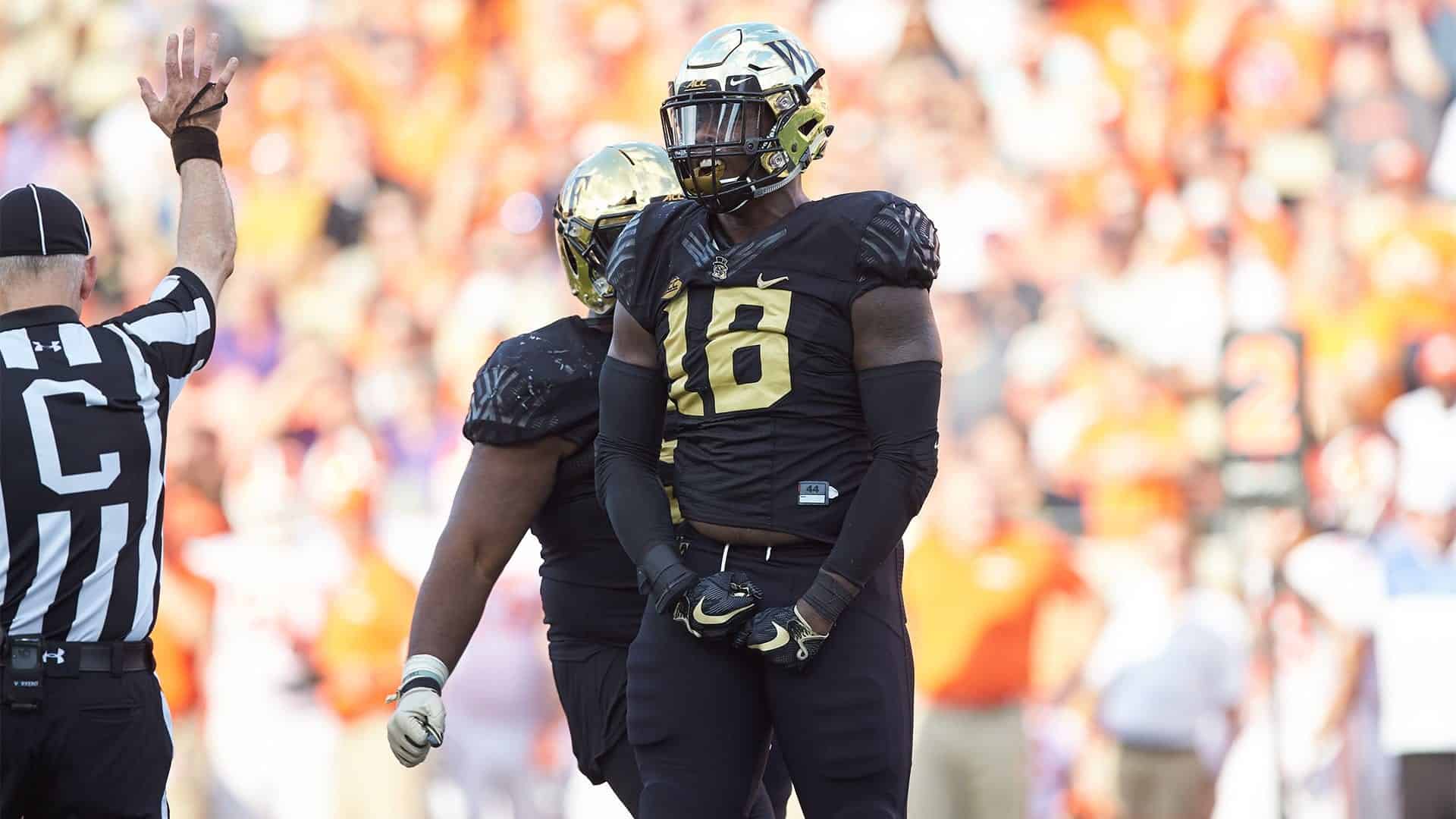 NFL Draft profile on Wake Forest defensive end Carlos Basham Jr.