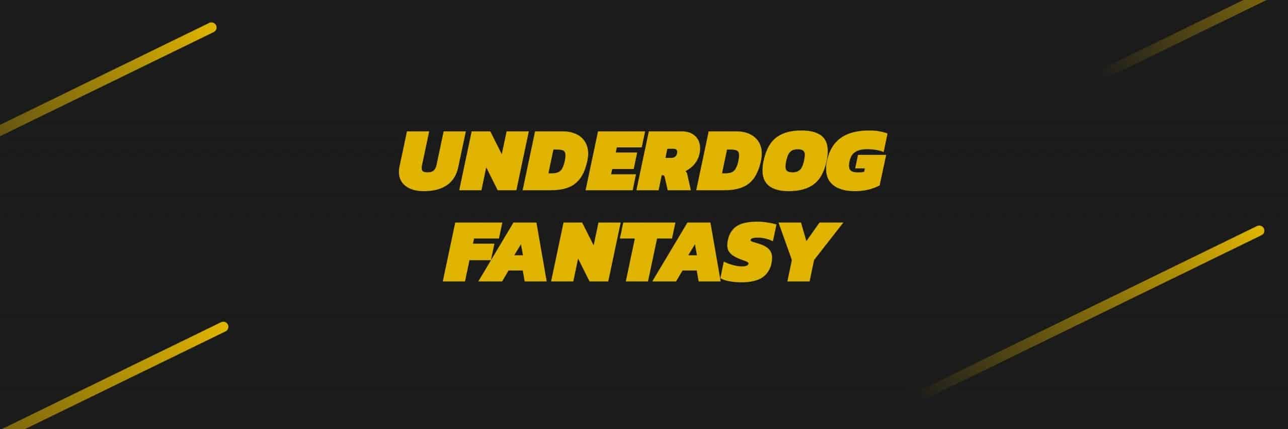 Underdog Fantasy Best Ball Strategy: 2023 NFL Playoffs