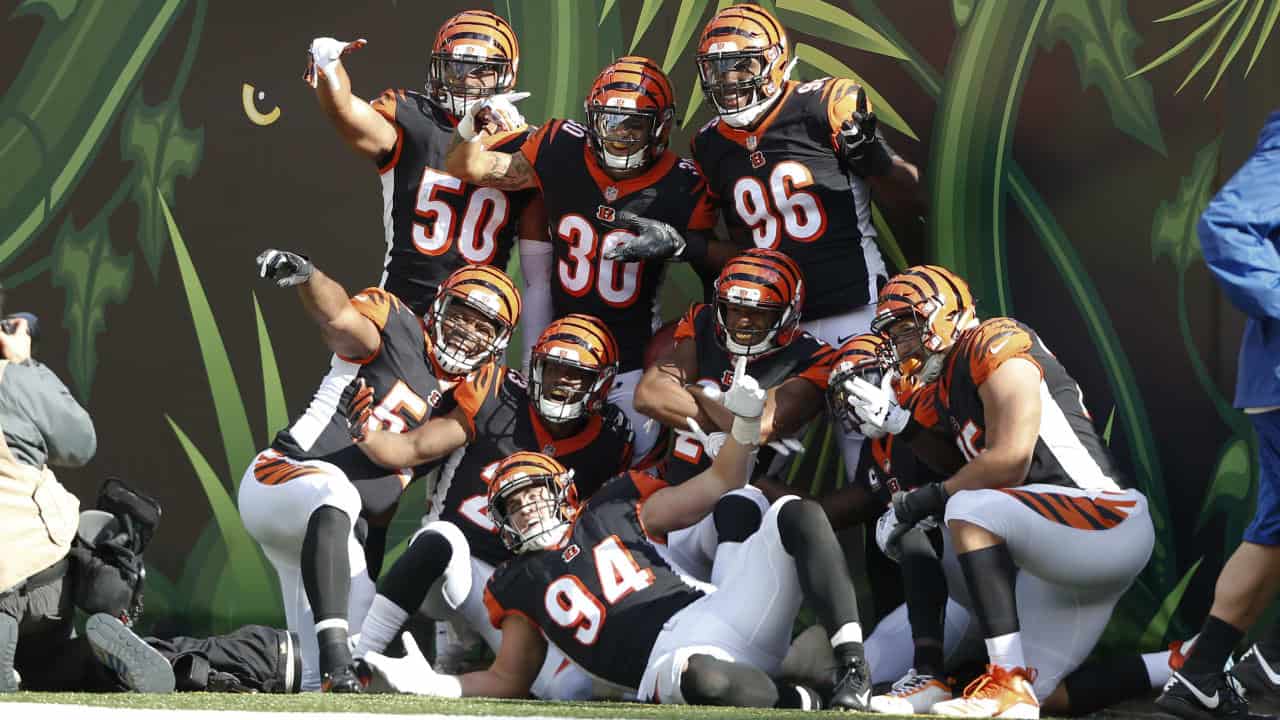 Bengals Roster 2020: Auden Tate to IR; Xavier Su'a-Filo activated - Cincy  Jungle