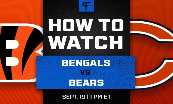 Bengals vs. Bears odds, line, prediction, and how to watch the Week 2 game