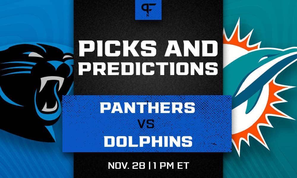 lions panthers predictions