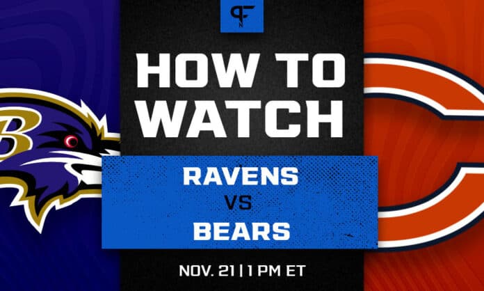 Ravens vs. Bears prediction, pick, odds, and how to watch the Week 11 game