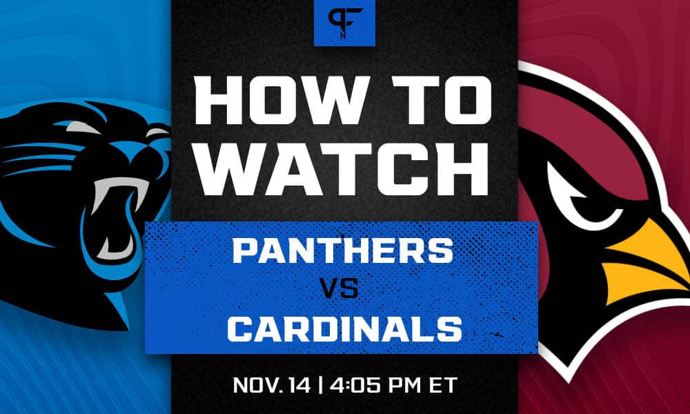 Carolina Panthers-Atlanta Falcons: TV, radio, betting info