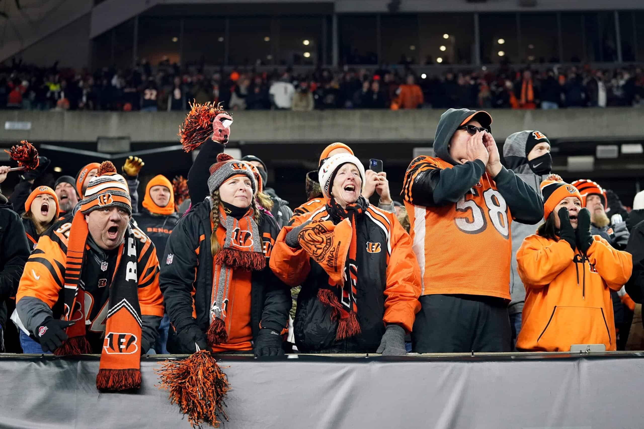 Wild and Crazy Bengals Fans  Nfl fans, Cincinnati bengals, Bengals