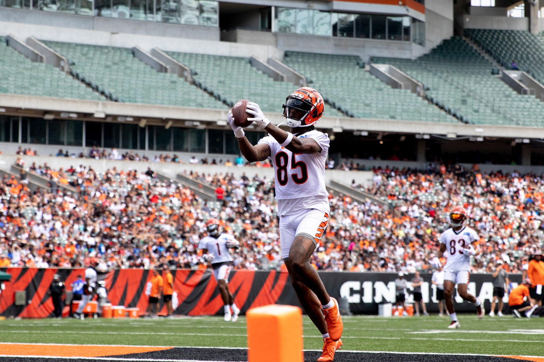 Bengals assistant compares Tee Higgins' progression to Reggie