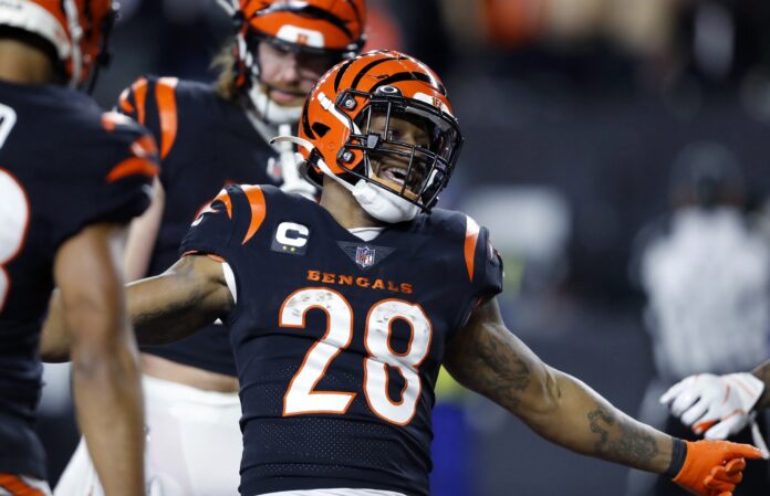 NFL Divisional Round Game Recap: Cincinnati Bengals 27, Buffalo Bills 10, NFL News, Rankings and Statistics