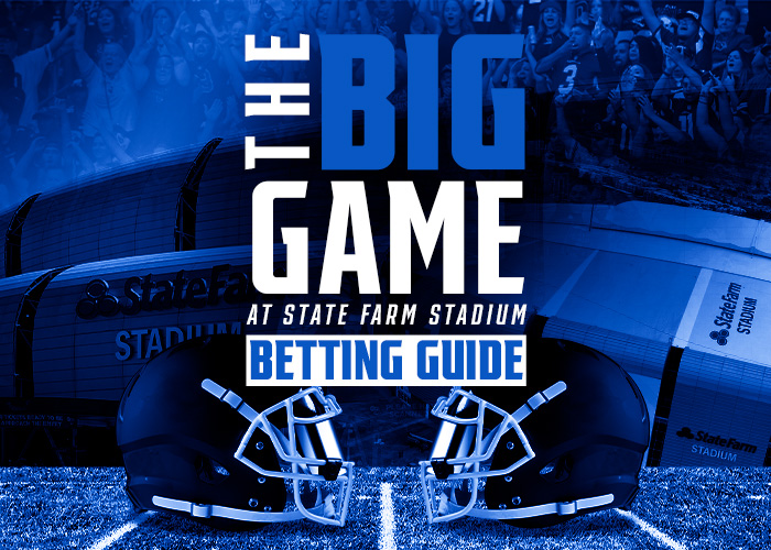 NFL wild card playoff weekend bettors guide