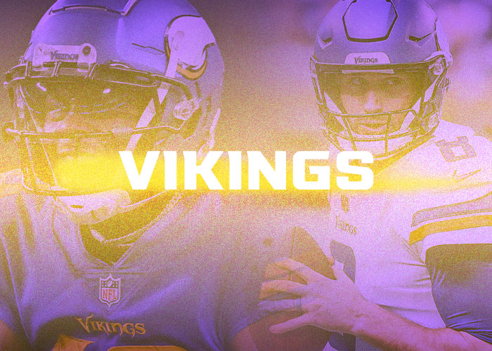 Minnesota Vikings - Bleeding Purple - NFC North Standings after 13