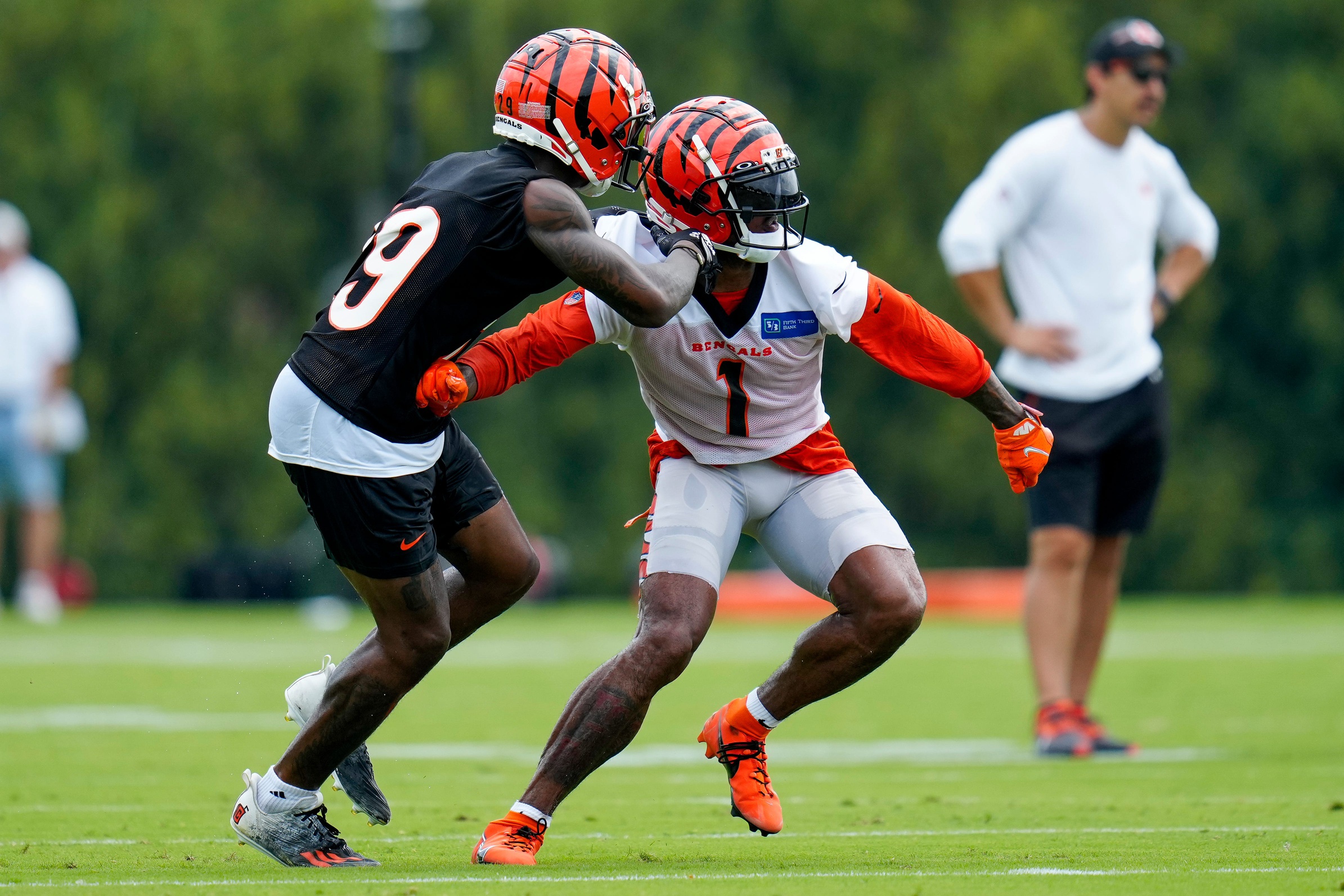 Watch: Brawl breaks out between Bengals, Rams during practice