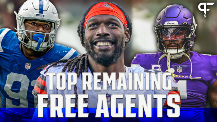 best nfl free agents still available