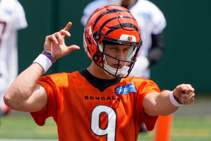 NFL Power Rankings AFC North: Bengals Rule, But There Are No Weak Links