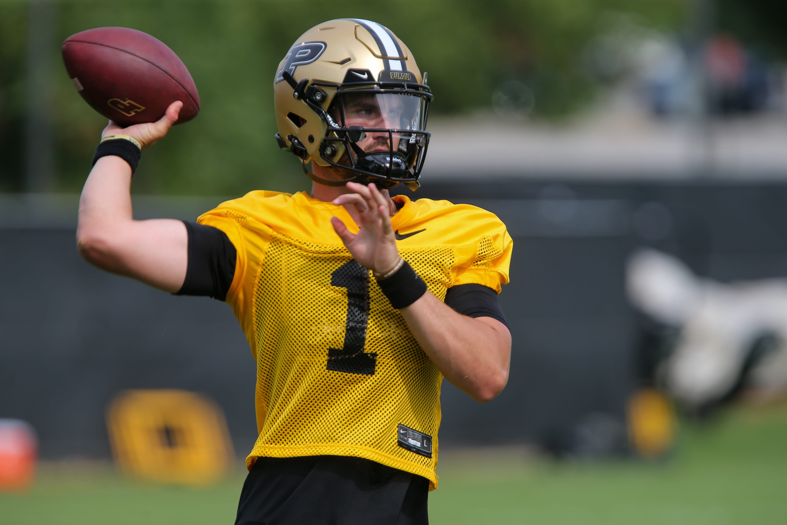 Bentley, Patriots Super Bowl Bound - Purdue Boilermakers