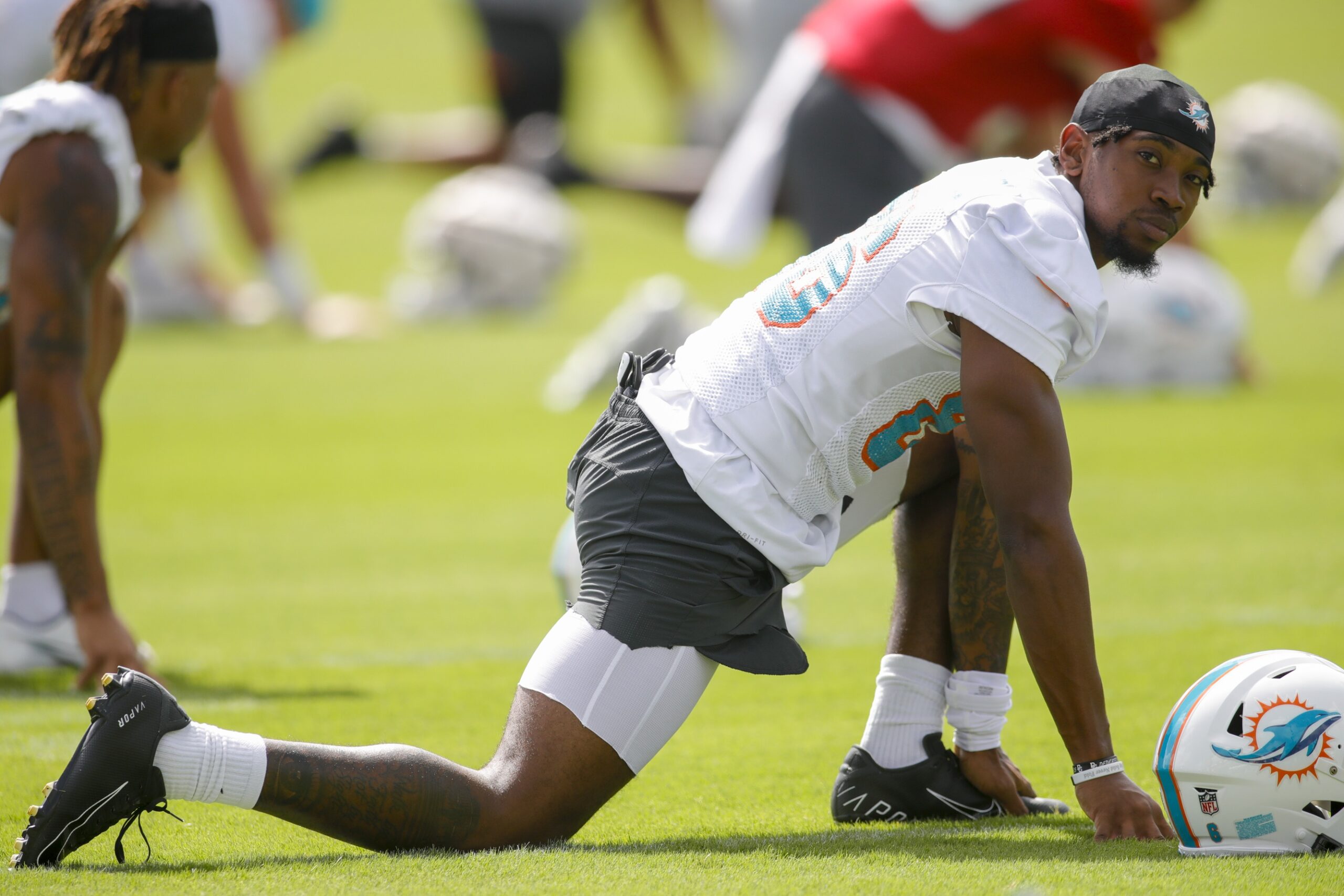 Miami Dolphins Get Clarity on Braylon Sanders Injury