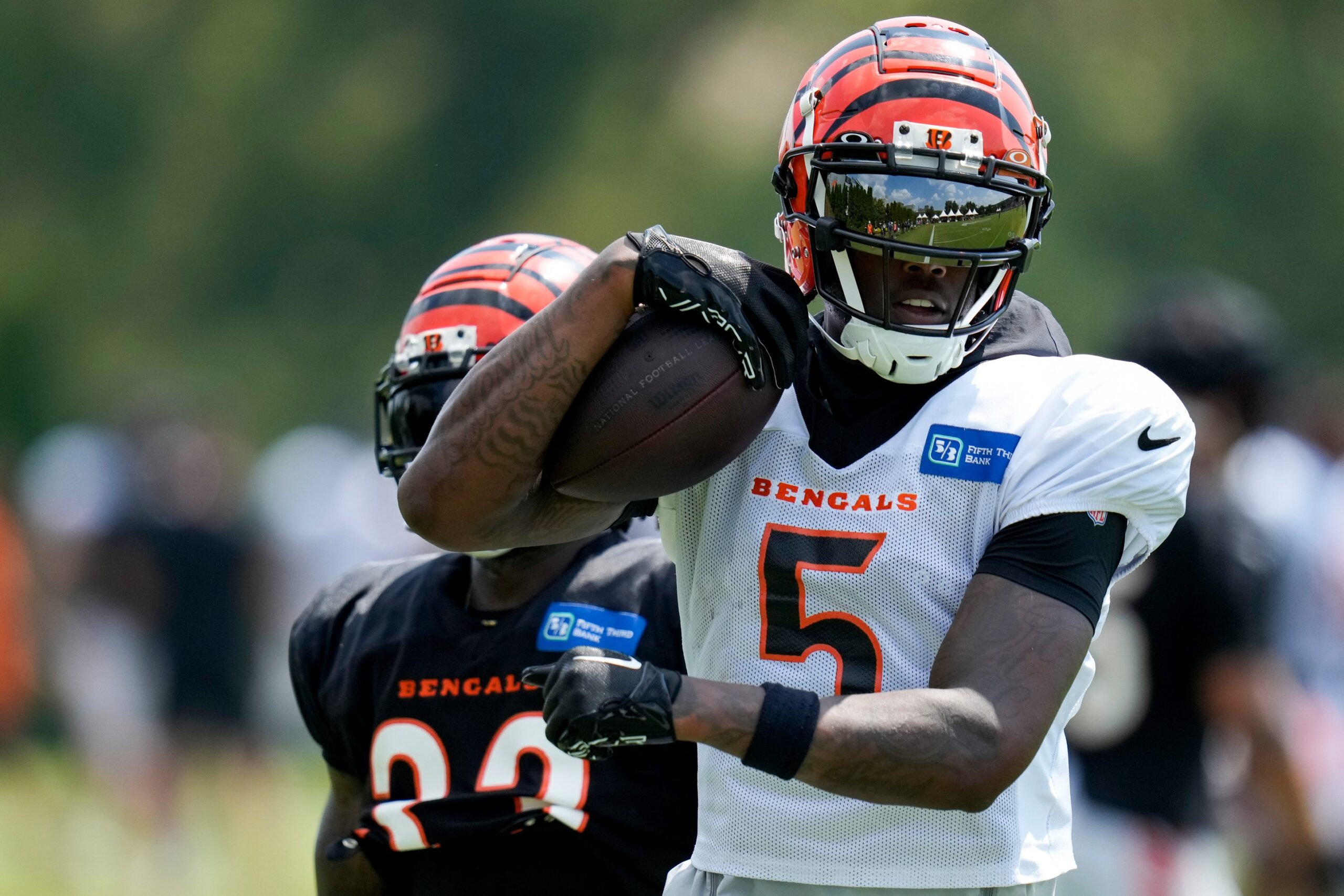 The Rise of Tee Higgins A Promising Future with the Cincinnati Bengals