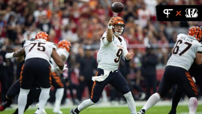 Arizona Cardinals vs. Cincinnati Bengals, State Farm Stadium