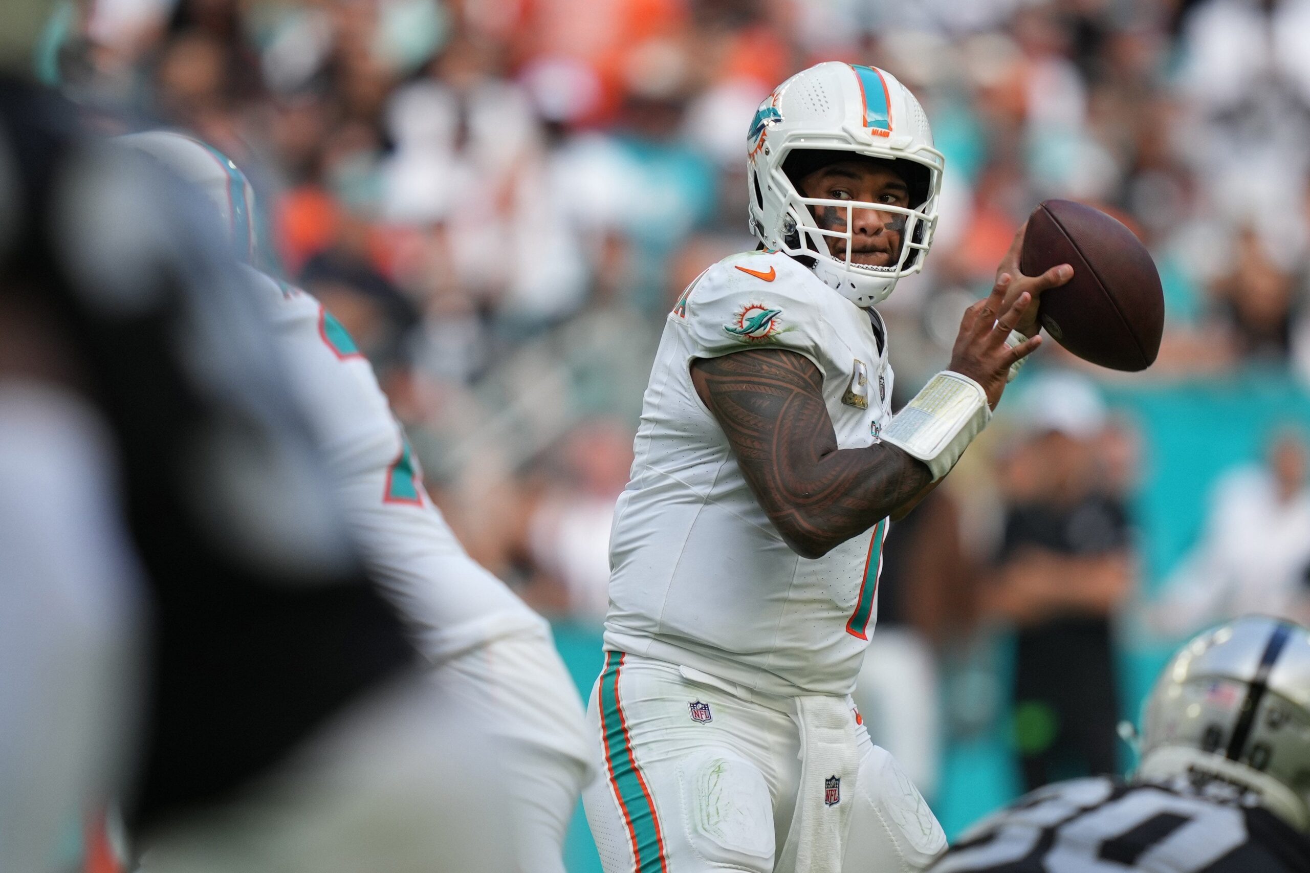 Miami Dolphins Playoff Scenarios When Can the Dolphins Clinch the AFC