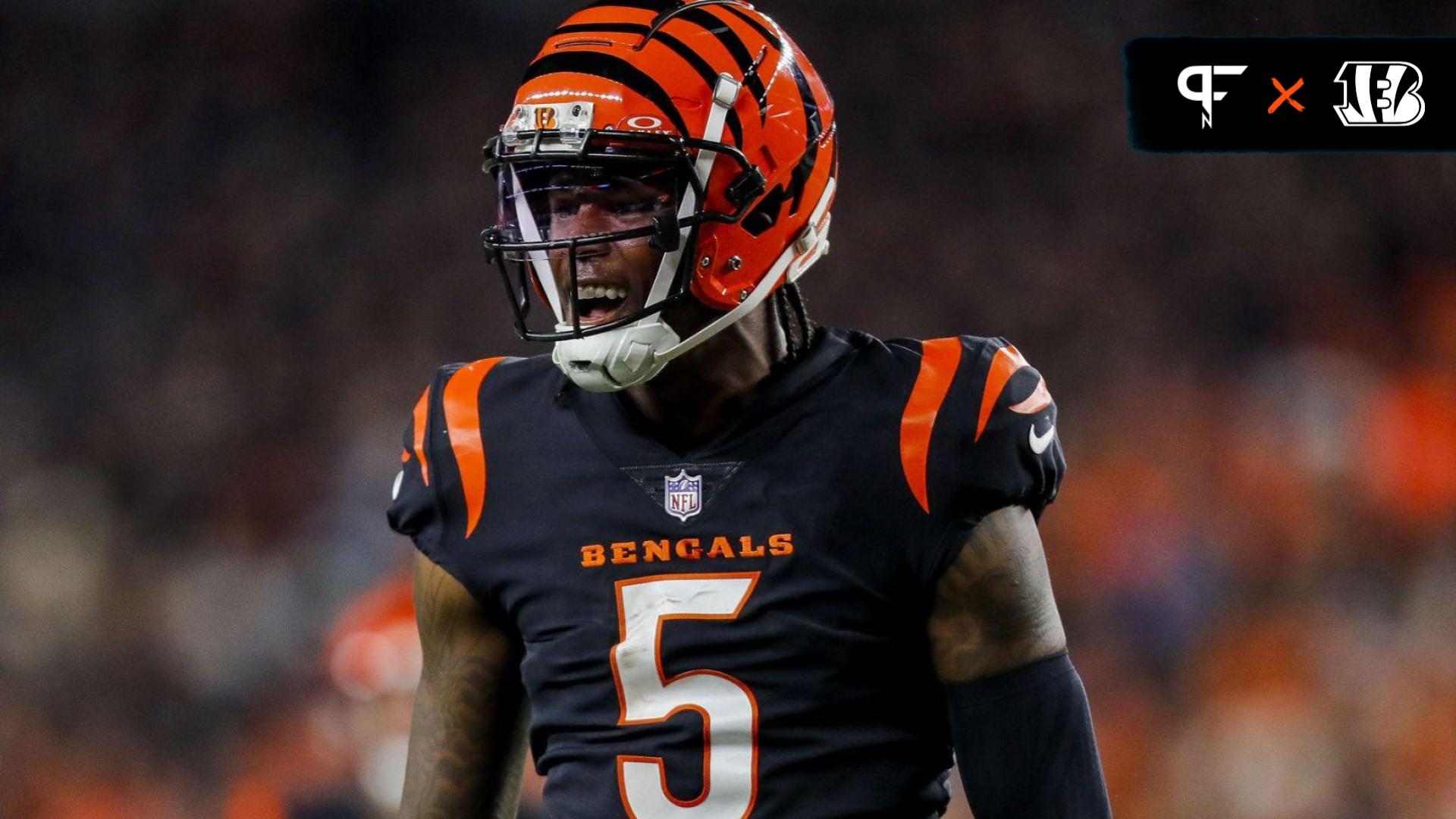 Cincinnati Bengals wide receiver Tee Higgins (5) reacts after advancing the ball against the Buffalo Bills in the second half at Paycor Stadium.